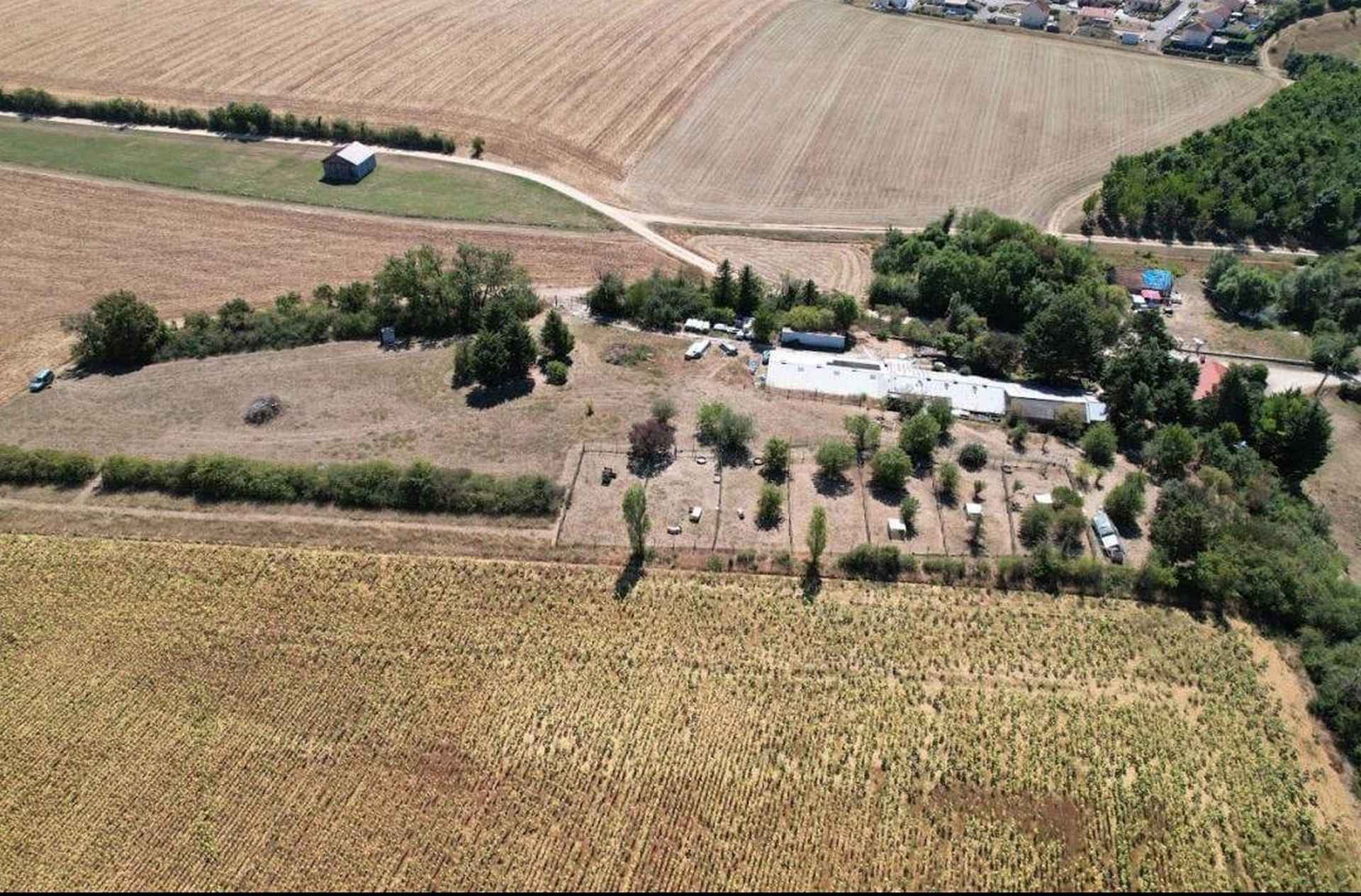 Eleveur de chiens en Meurthe et Moselle