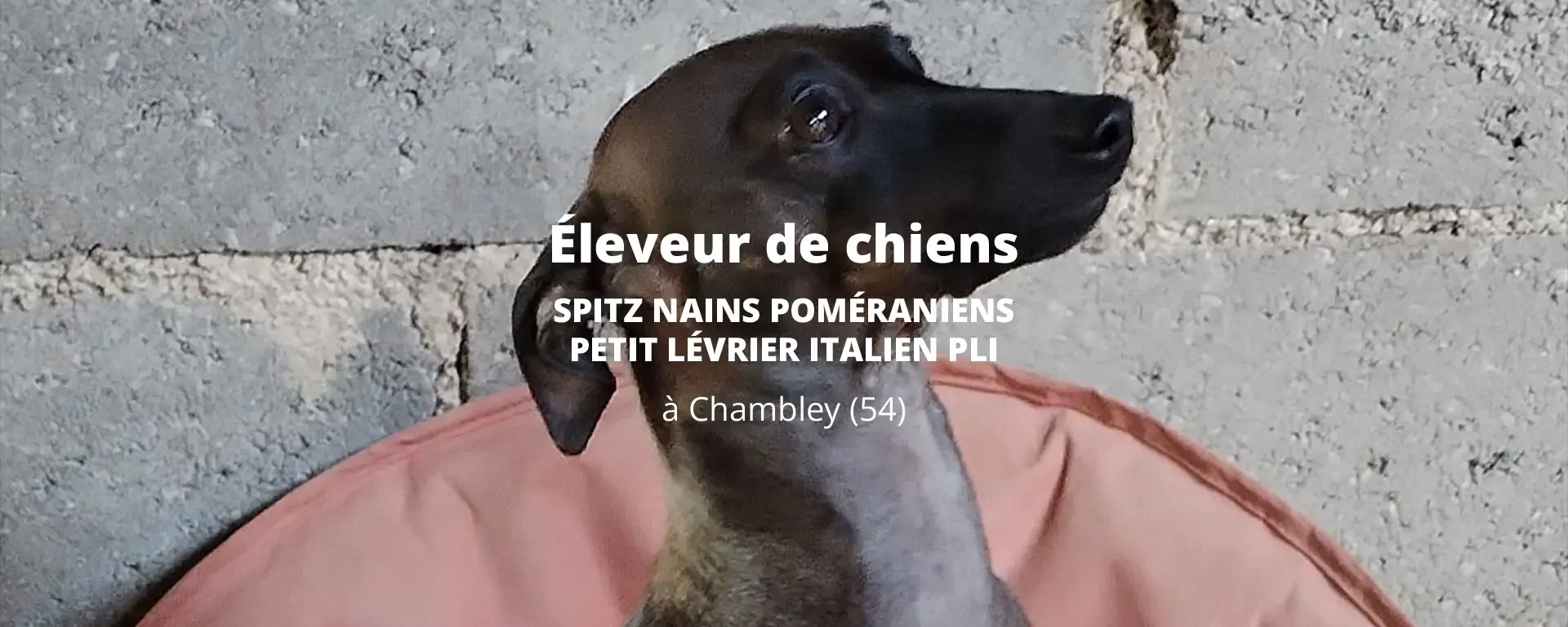 Slide2